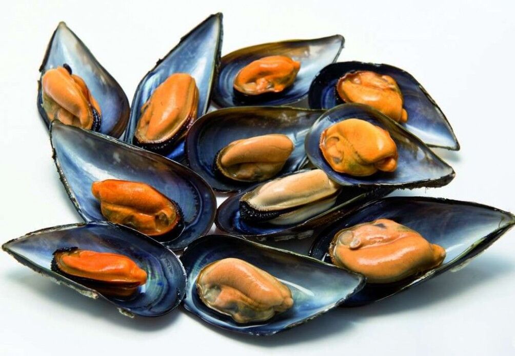 mussels for power